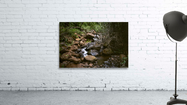 Pavuna 1 Wall Preview