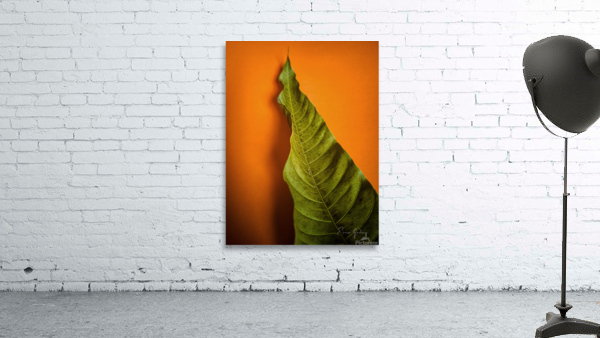 LeafMango 1 Wall Preview