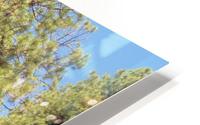Trees HD Metal print