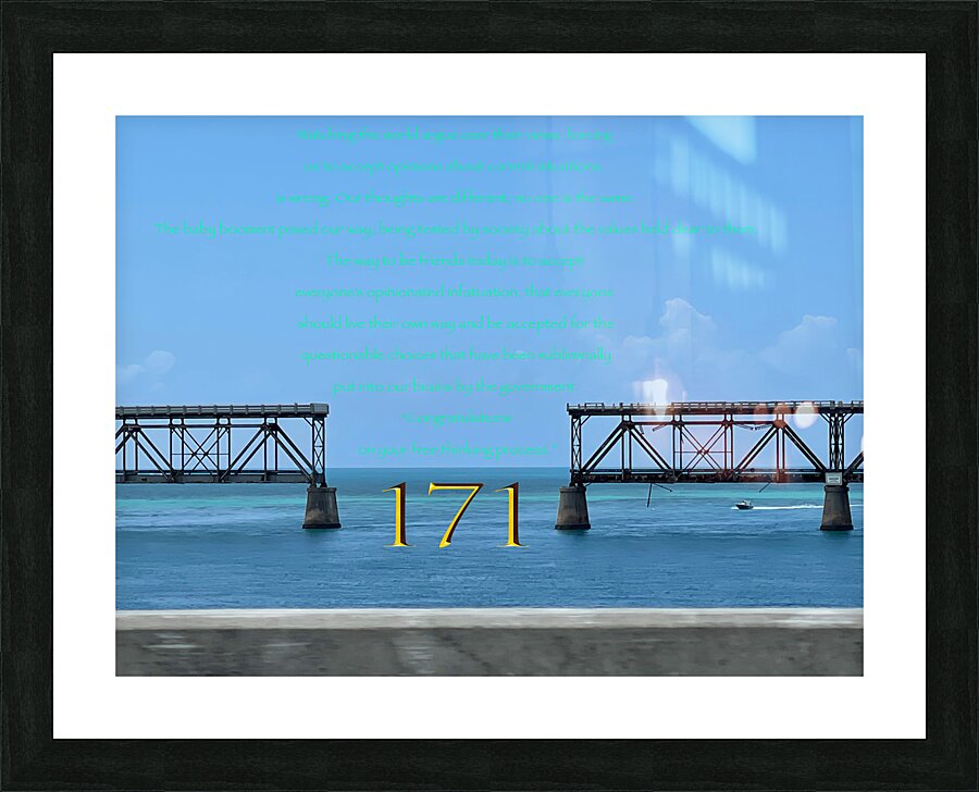171 Picture Frame print