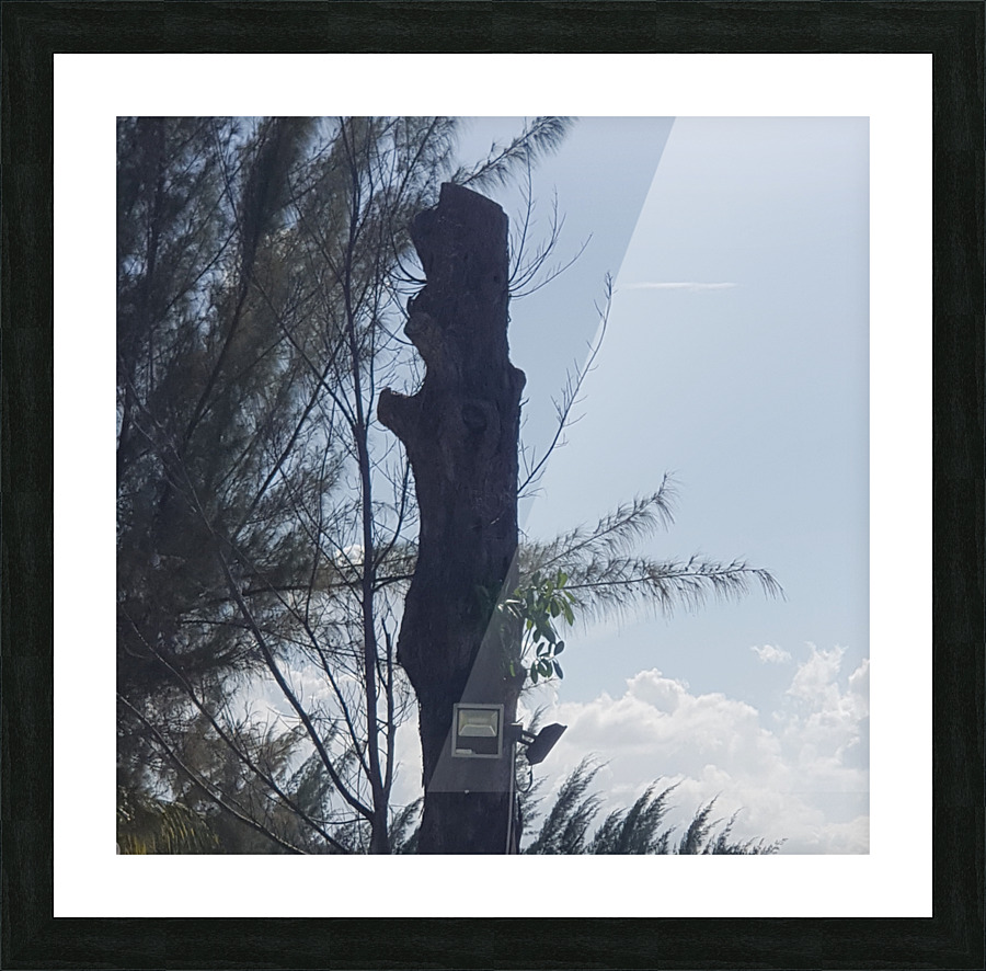 Just a tree Picture Frame print