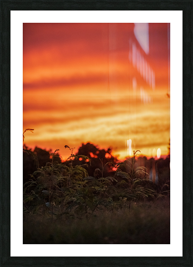 Sunset 0271 Picture Frame print