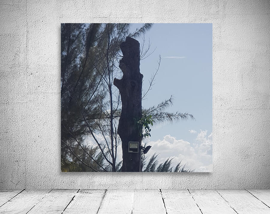 Just a tree Wall Preview