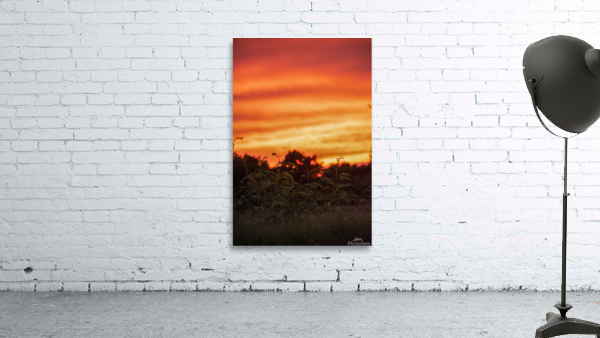 Sunset 0271 Wall Preview