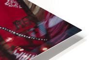 Willie- Jessica Smith HD Metal print