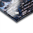 Ravine Glow Acrylic print