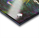 Reflected Beauty Acrylic print