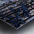 Ravine Glow Metal print