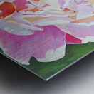 Sun Kissed and Sassy Metal print