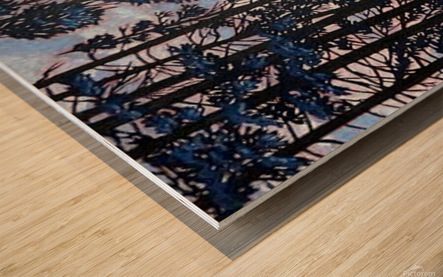 Ravine Glow Wood print