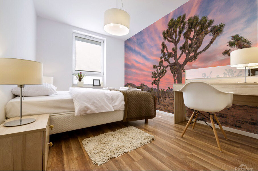 Sunset at Joshua Mural print