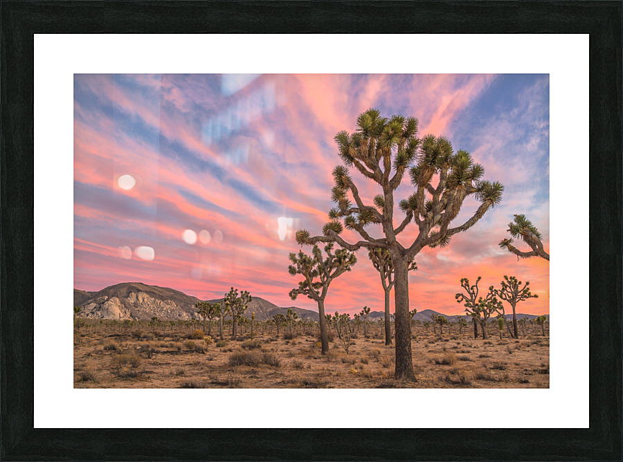 Sunset at Joshua Picture Frame print