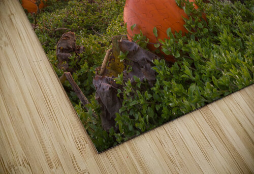 Sunrise at the Patch Wolfbrotherphoto puzzle