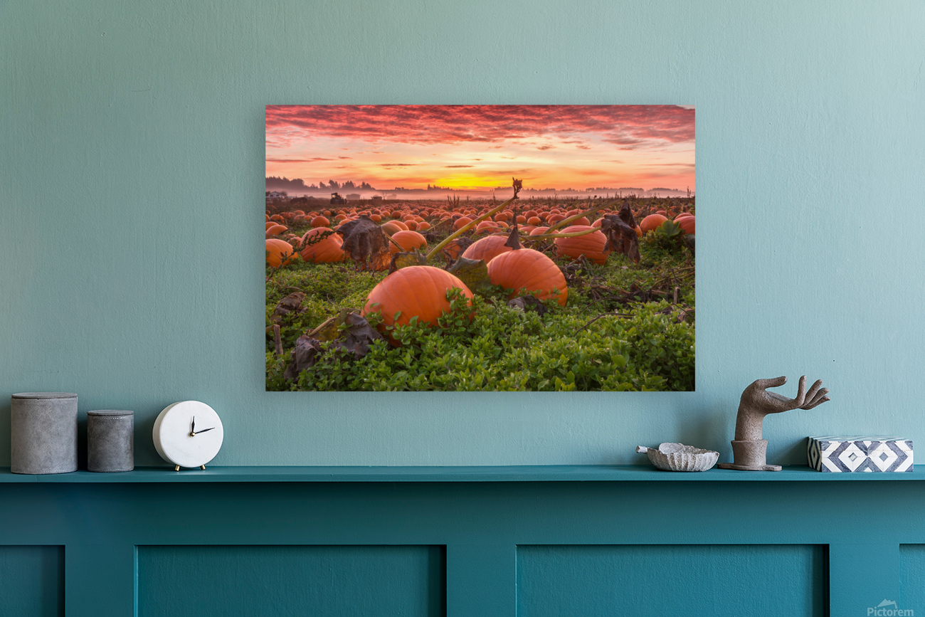 Sunrise at the Patch Reproduction