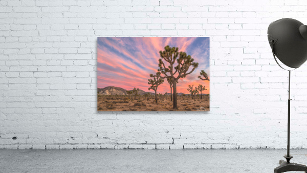 Sunset at Joshua Wall Preview