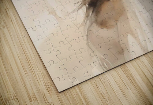 La belle Anita  kholio10 puzzle
