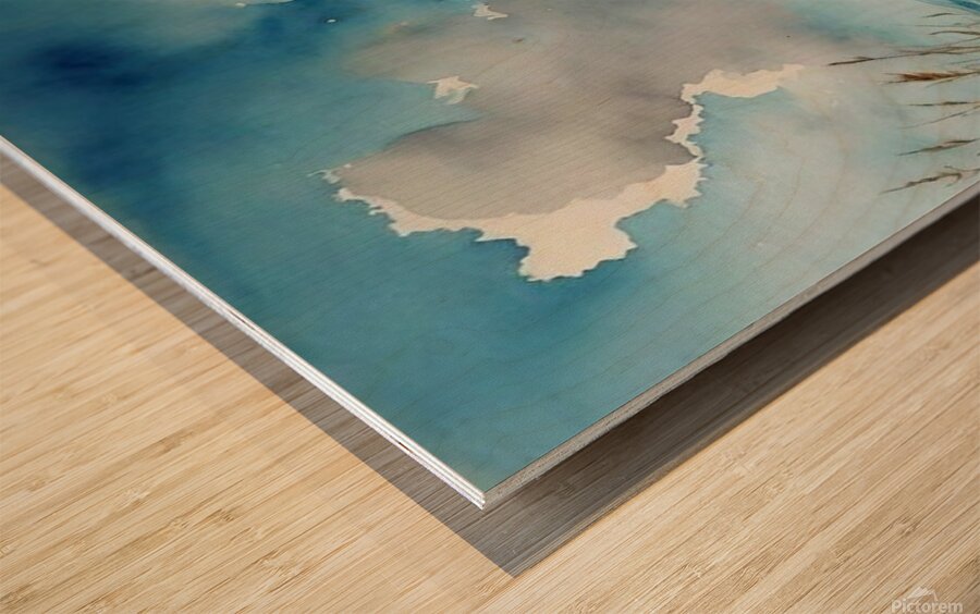 Beau bateau  Wood print