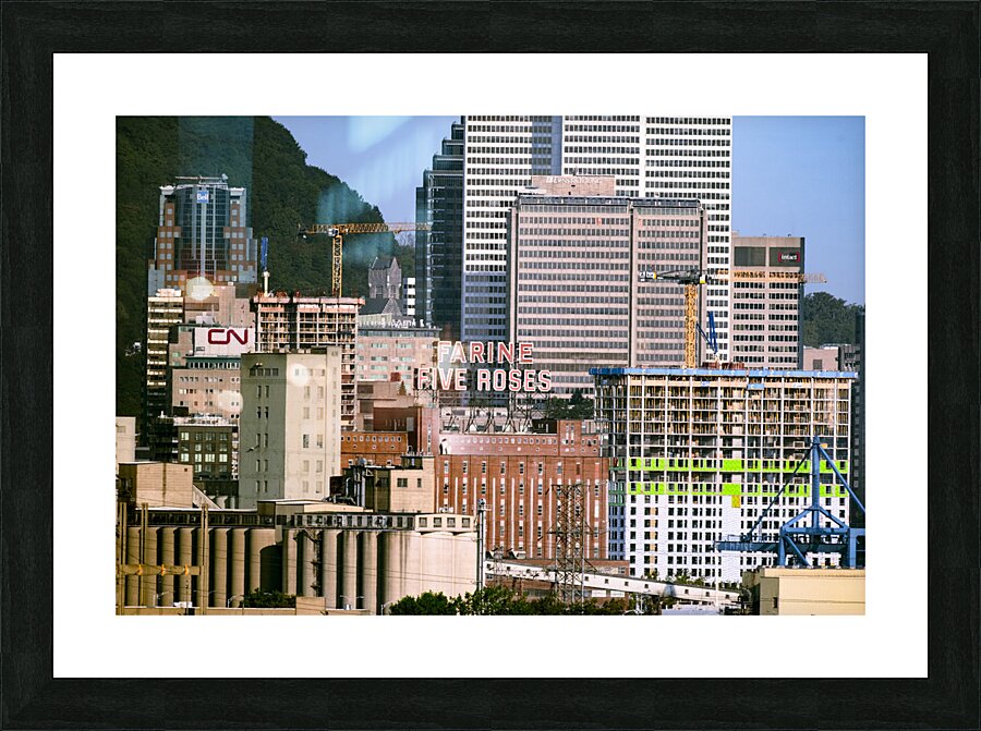  DSF0116 Picture Frame print