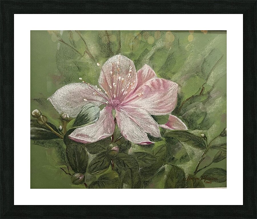Blossom Picture Frame print