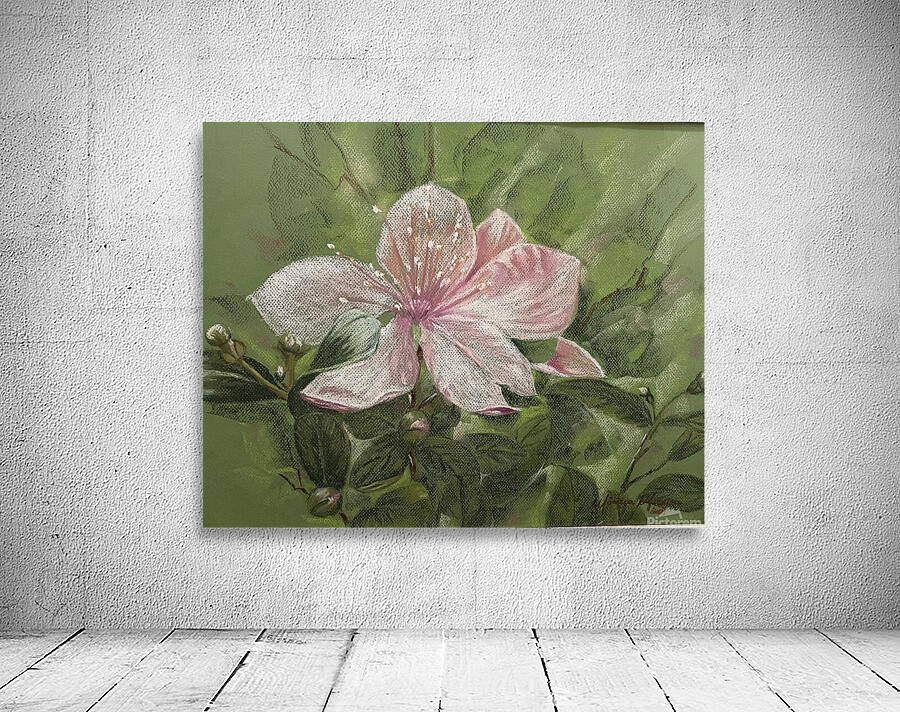 Blossom Wall Preview