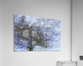 TREE Acrylic Print