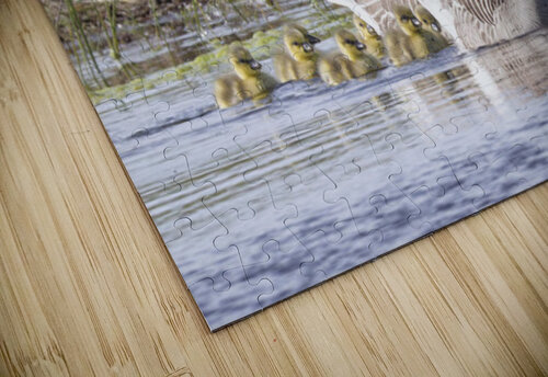 GOOSE Yves Wauthier Photography puzzle
