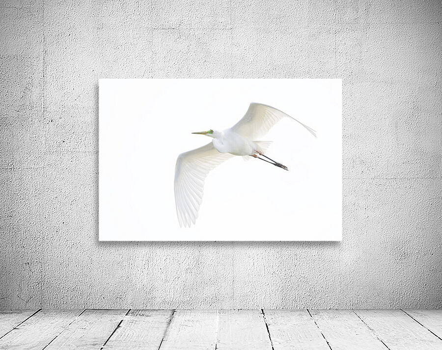 EGRET Wall Preview