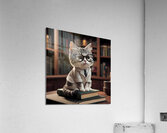 cat in the library Acrylic Print