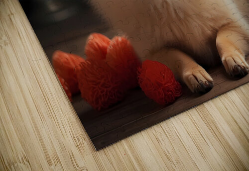 pomeranian rassam puzzle