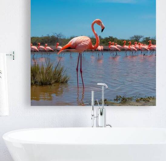 a clear weather scene of a flamingo bird standing by rassam
