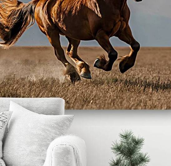  majestic horse by rassam