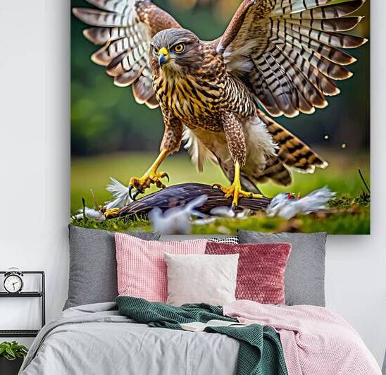 in the air  a hawk bird preys on its prey  leavin by rassam