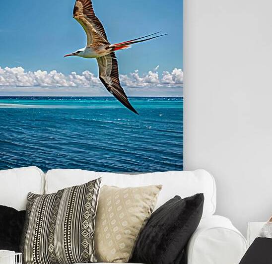 the straw tailed bird flies over the sea  blue sky by rassam