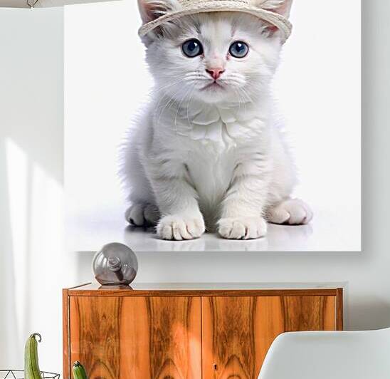  cute white kitten clothen hat and sitting by rassam