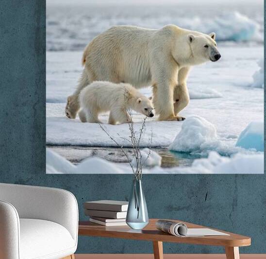  a polar bear followed by her little cub by rassam