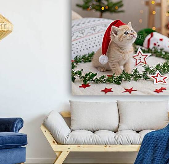  a cute beige kitten wearing a christmas hat by rassam