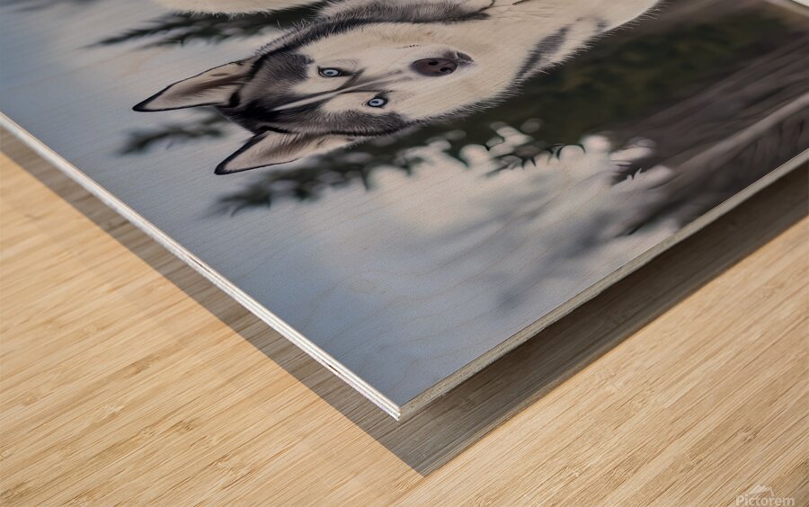 SIBERIAN HUSKY Wood print
