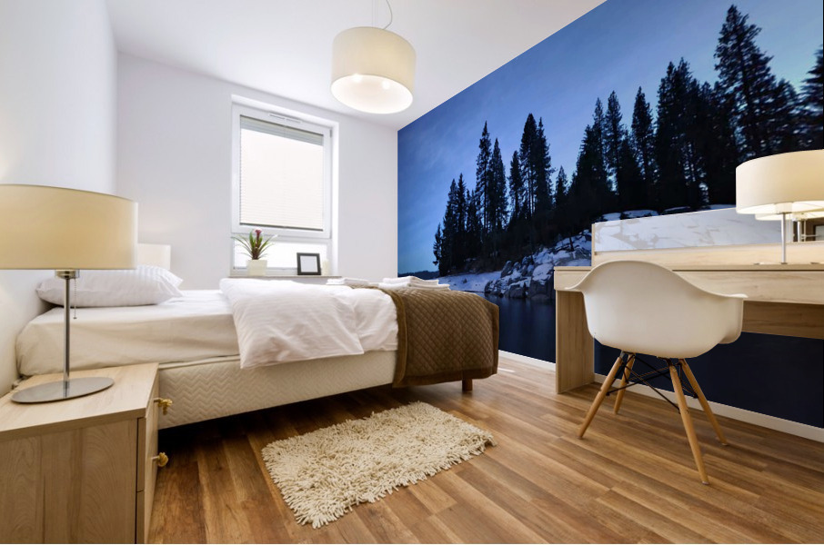 Silent Night Mural print