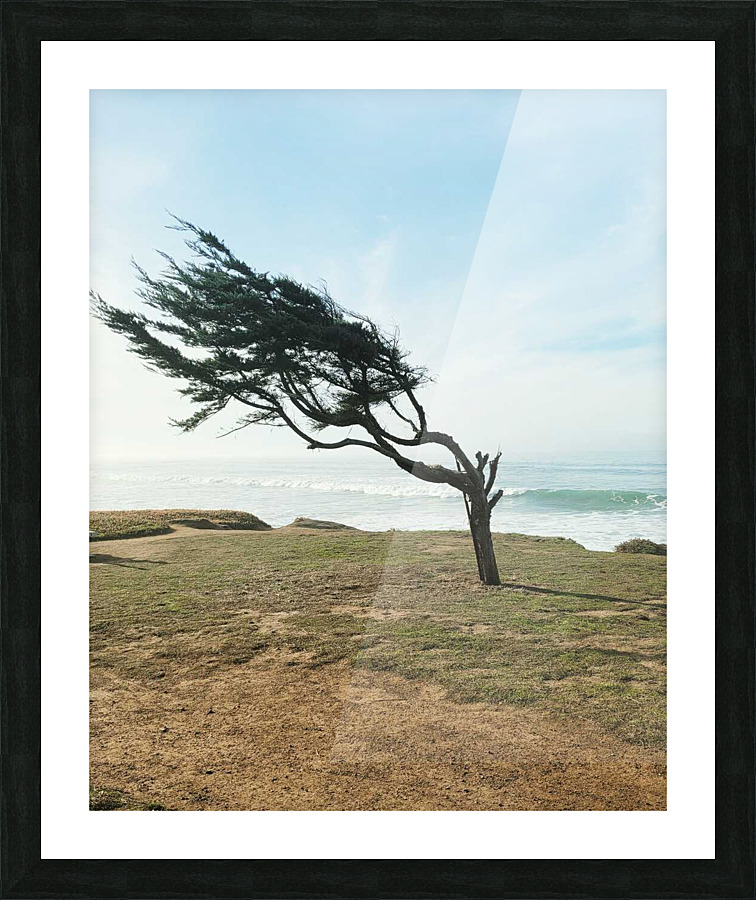 Cambrias Sidewave Tree Picture Frame print