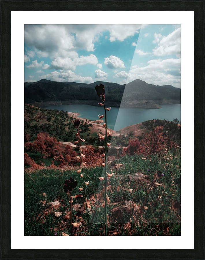 Chocolate Lily  Picture Frame print