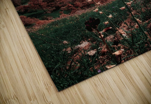 Chocolate Lily  Explore Gods Glory puzzle