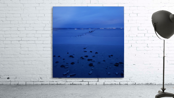 Arcata Marsh Wall Preview