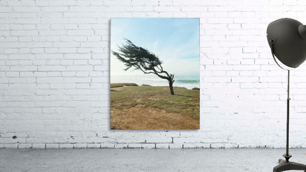 Cambrias Sidewave Tree Wall Preview