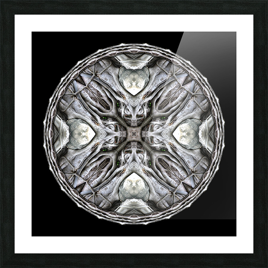 Buddha Head Tree_MG_5967_12 Picture Frame print