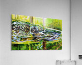 Pike II Acrylic Print