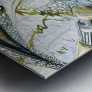 Lake Run Brownie Metal print