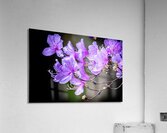 Spring in Japan Acrylic Print