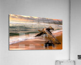 Driftwood Dreaming Acrylic Print
