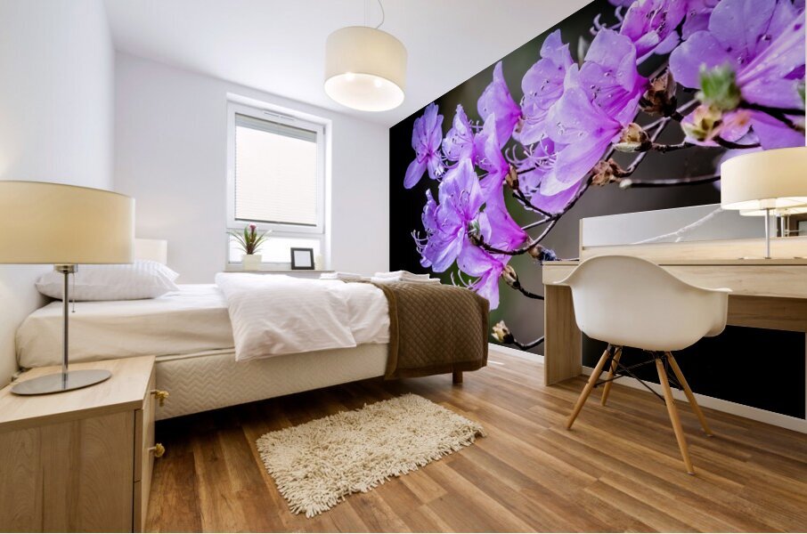 Spring in Japan Mural print