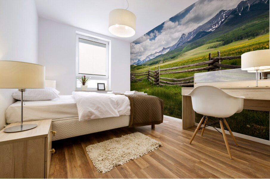 Dallas Divide Mural print